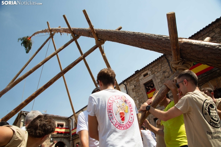 Pingada del mayo en Vinuesa