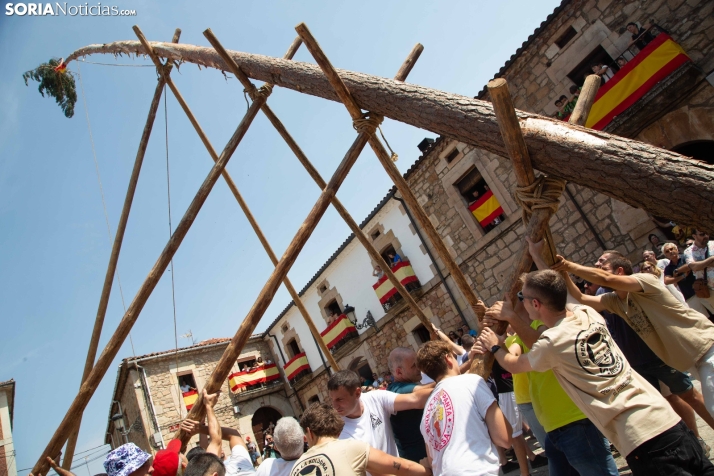 Pingada del mayo en Vinuesa
