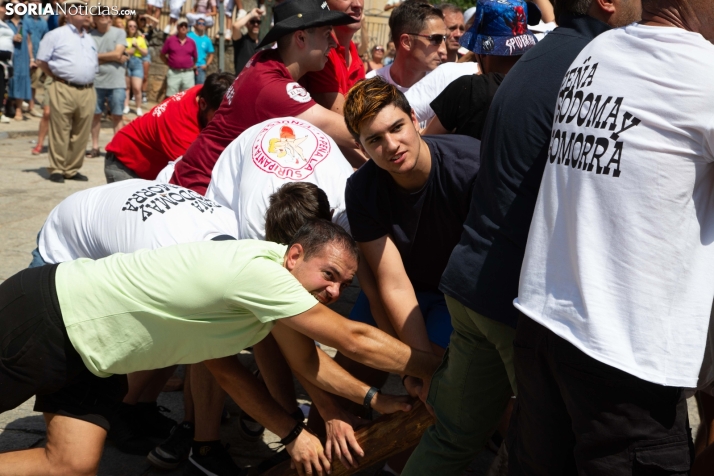 Pingada del mayo en Vinuesa