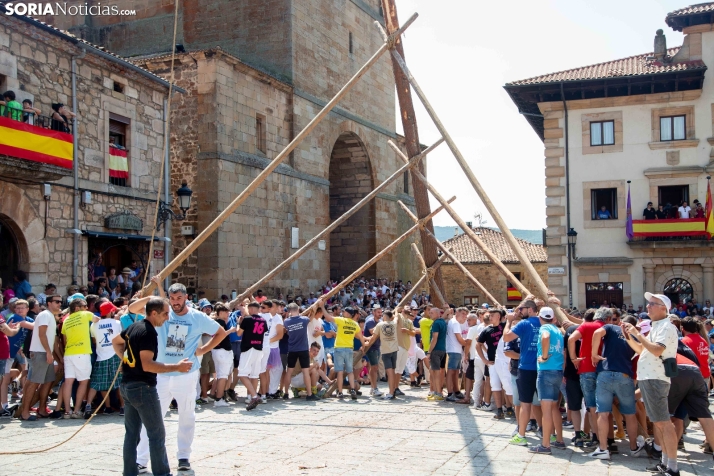 Pingada del mayo en Vinuesa