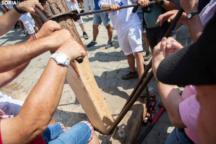 Pingada del mayo en Vinuesa