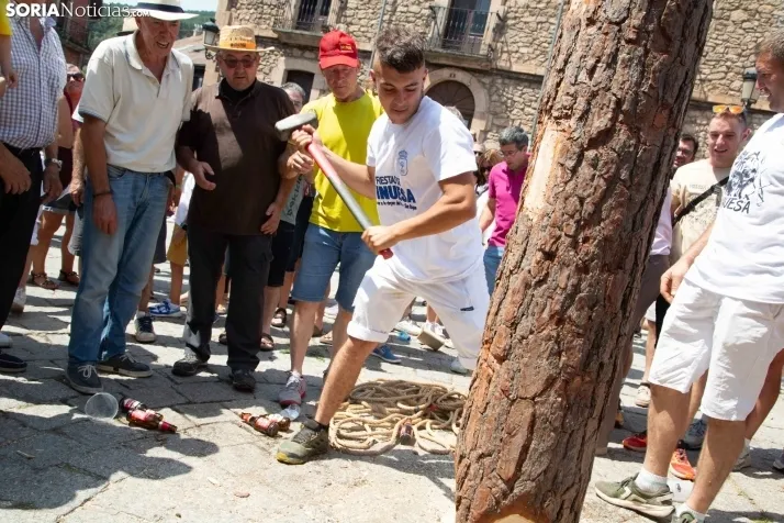 Pingada del mayo en Vinuesa