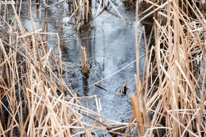 Sábado de abrigo y manta para evitar el frío