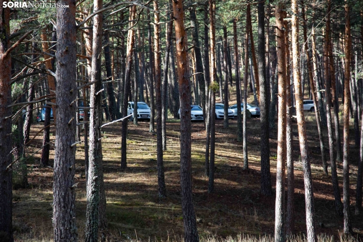 Rally Navaleno-Canicosa