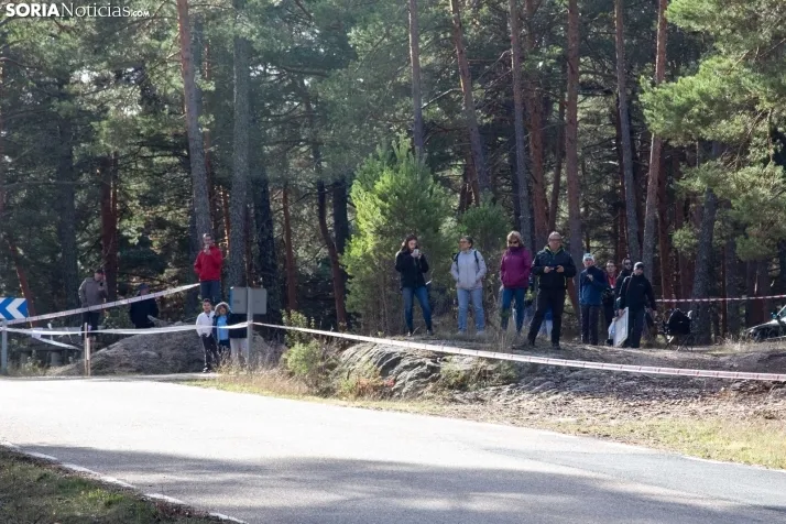 Rally Navaleno-Canicosa
