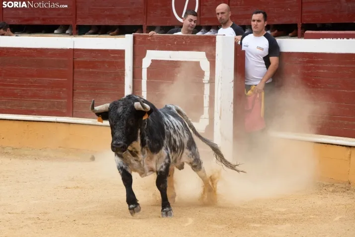 Recortadores