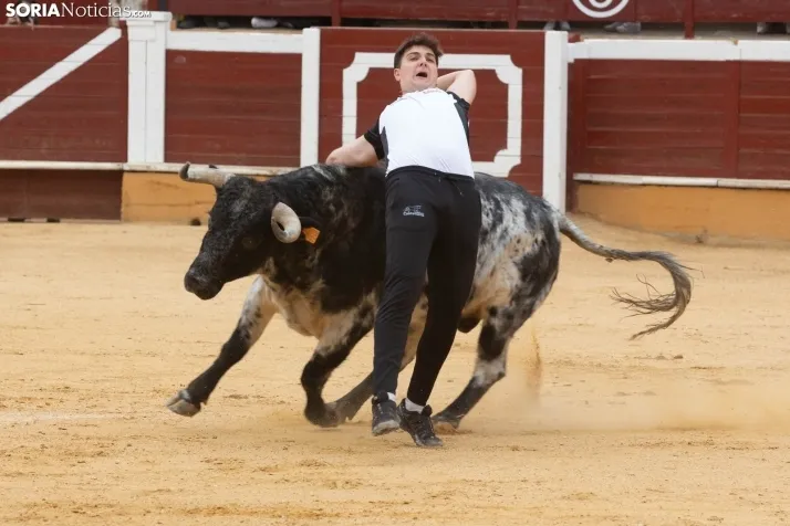 Recortadores