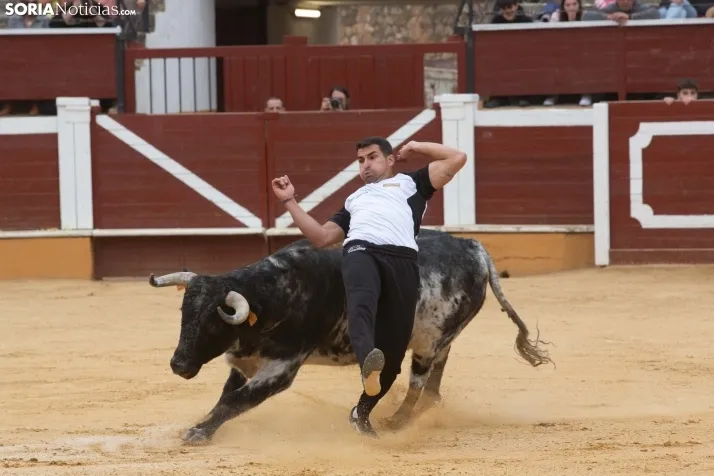Recortadores