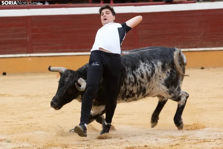 Recortadores