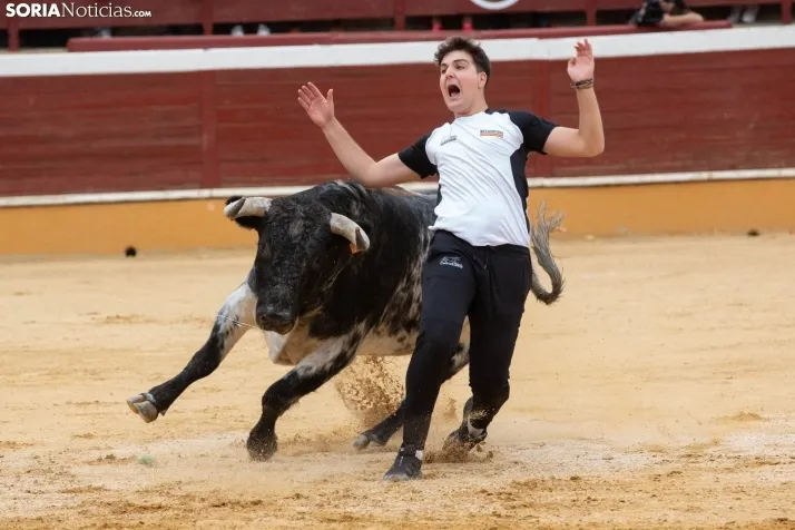 Recortadores