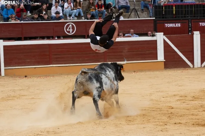 Recortadores