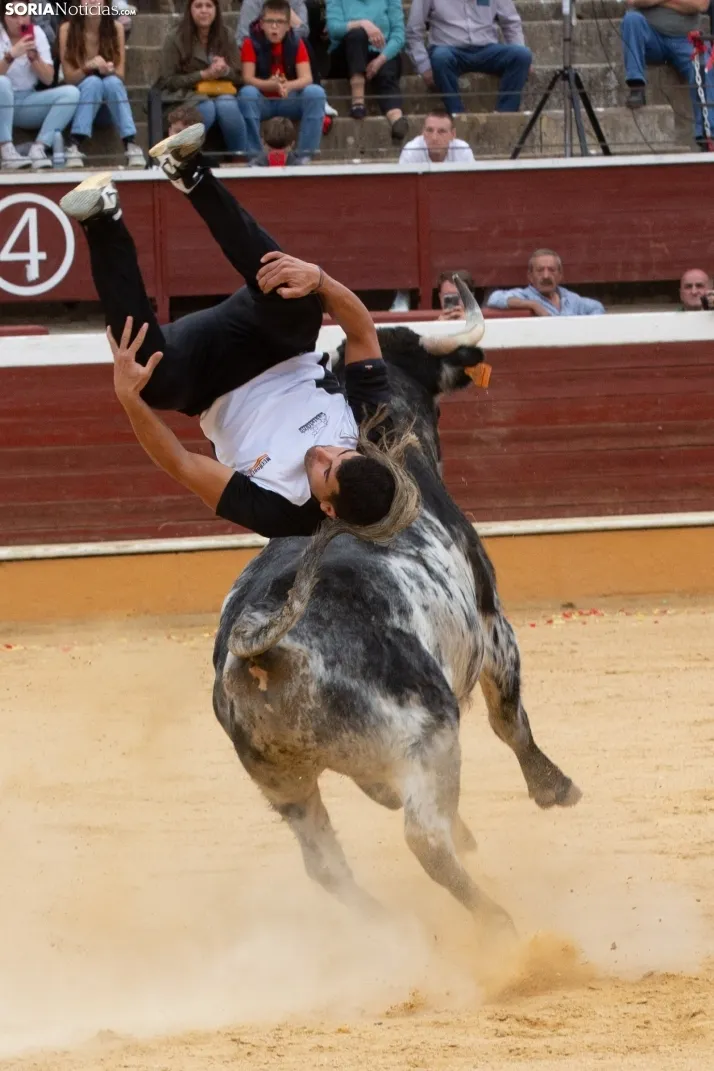 Recortadores