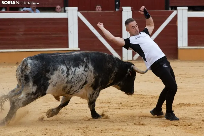 Recortadores