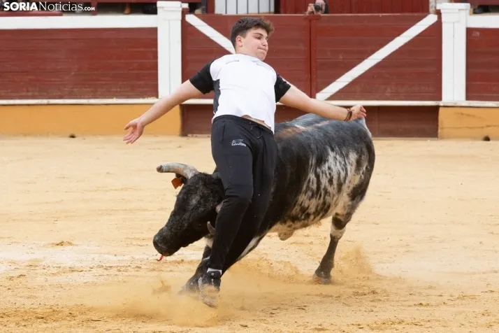 Recortadores
