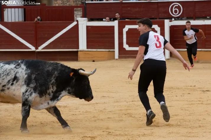 Recortadores