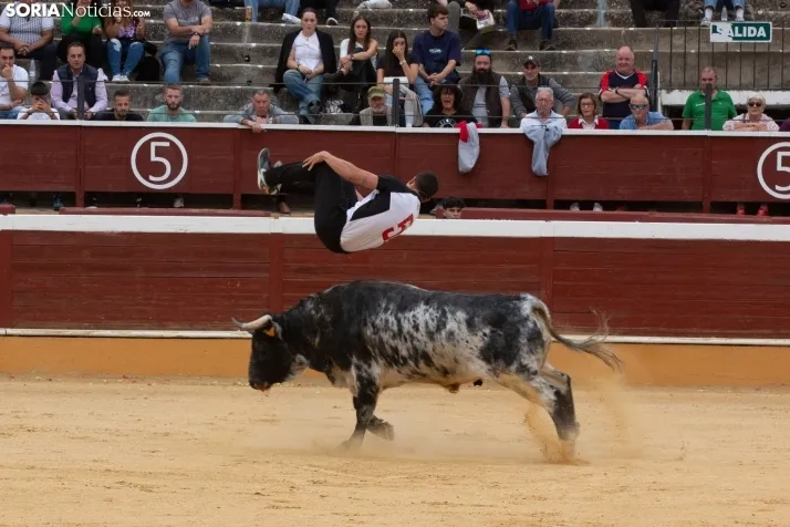 Recortadores