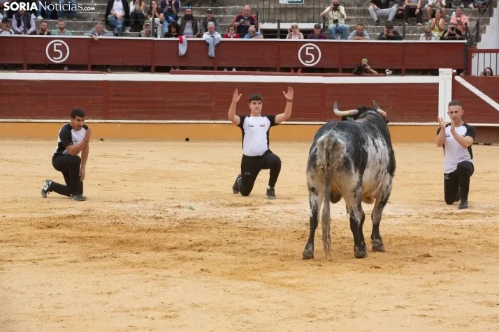 Recortadores