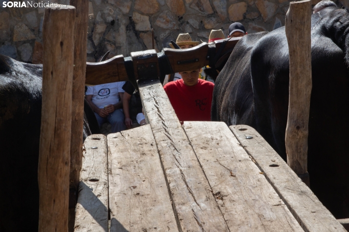 Ruta Carreteril Sarnago