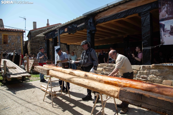 Ruta Carreteril Sarnago