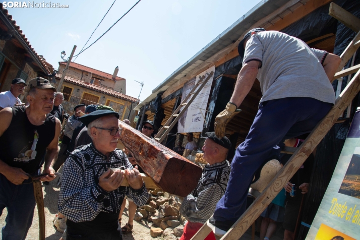 Ruta Carreteril Sarnago