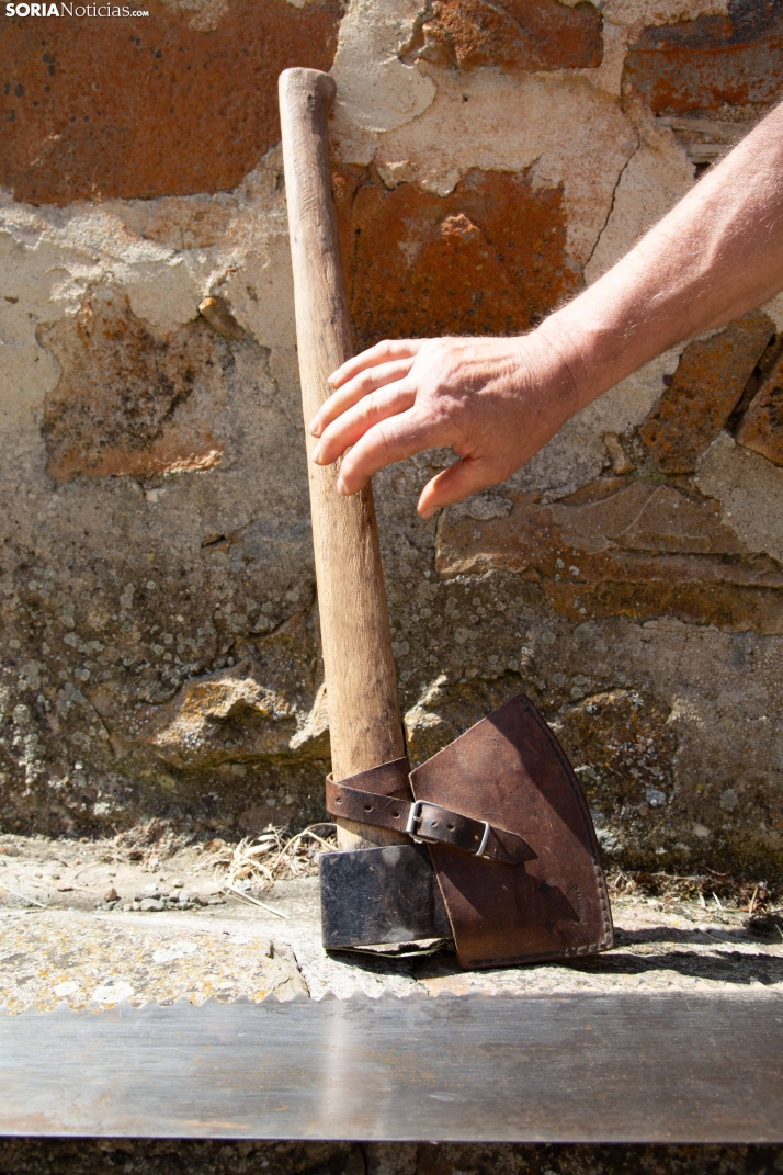 Ruta Carreteril Sarnago