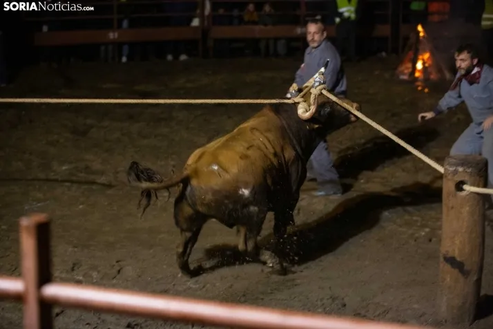 Toro Jubilo 2025