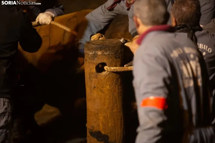 Toro Jubilo 2025