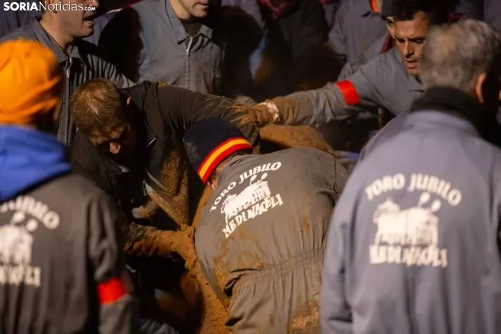 Toro Jubilo 2025