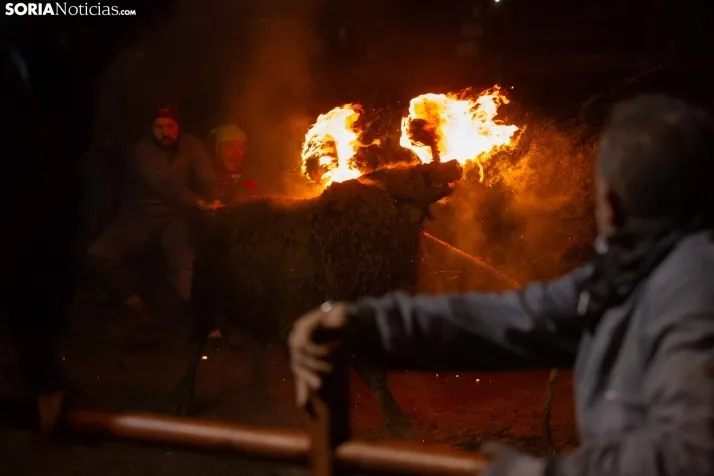Toro Jubilo 2025