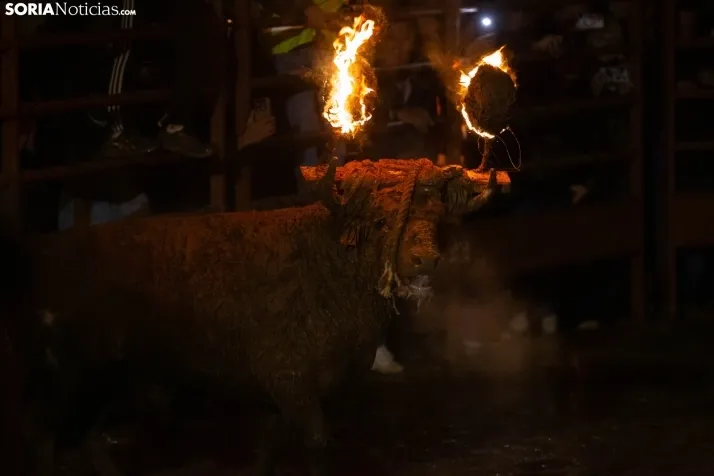 Toro Jubilo 2025