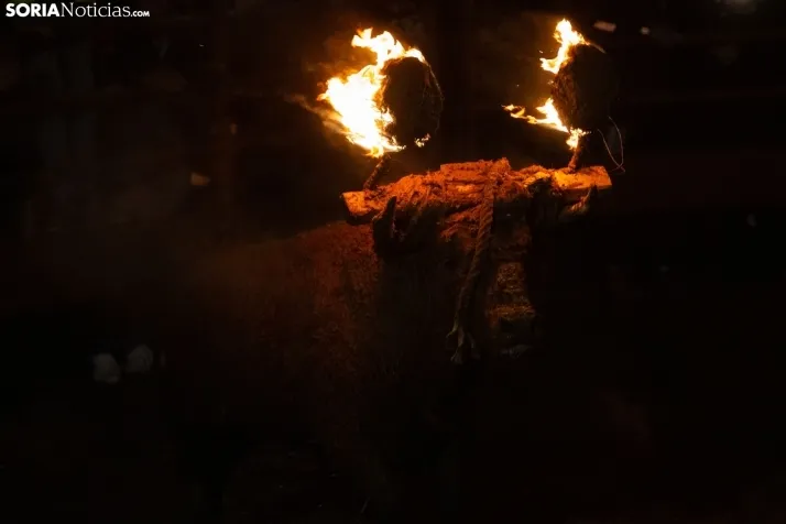 Toro Jubilo 2025