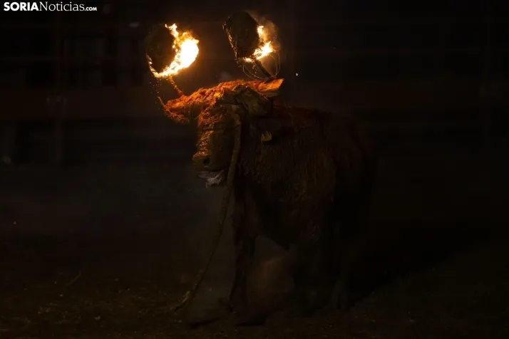 Toro Jubilo 2025