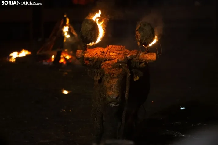 Toro Jubilo 2025