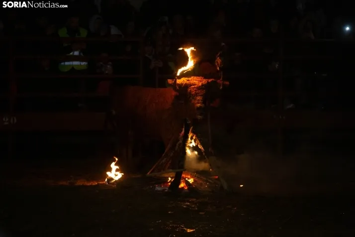 Toro Jubilo 2025