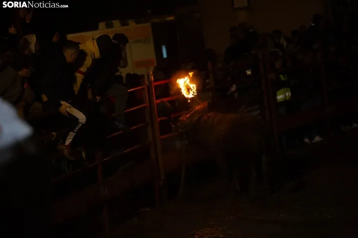 Toro Jubilo 2025