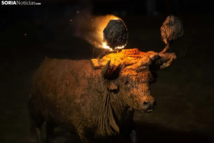 Toro Jubilo 2025