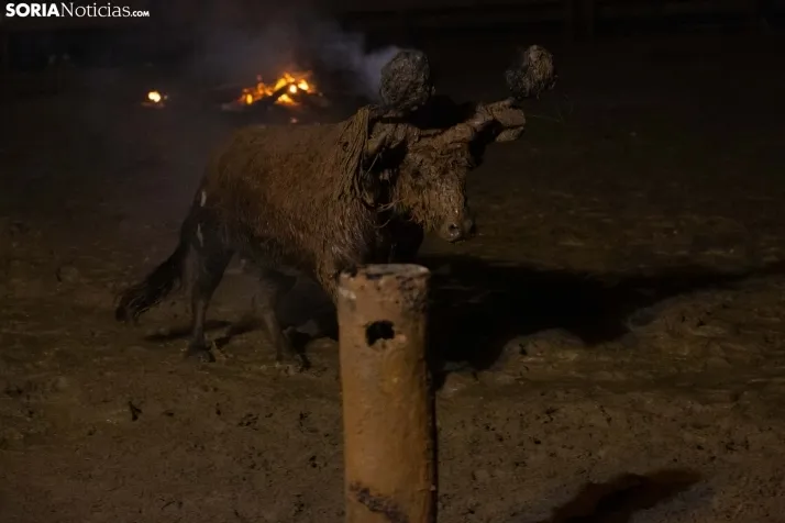 Toro Jubilo 2025