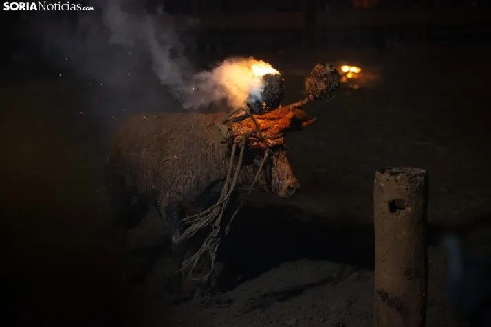 Toro Jubilo 2025