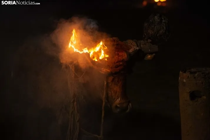 Toro Jubilo 2025