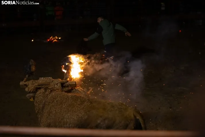Toro Jubilo 2025
