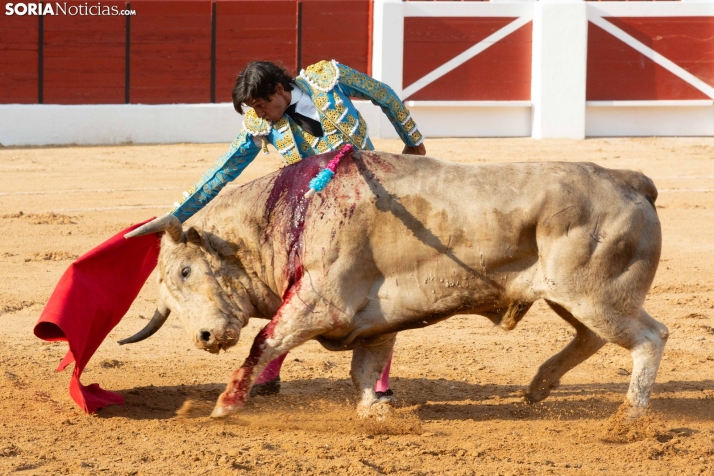 Toros en El Burgo 2025