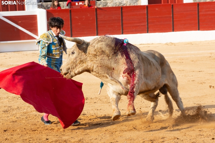 Toros en El Burgo 2025