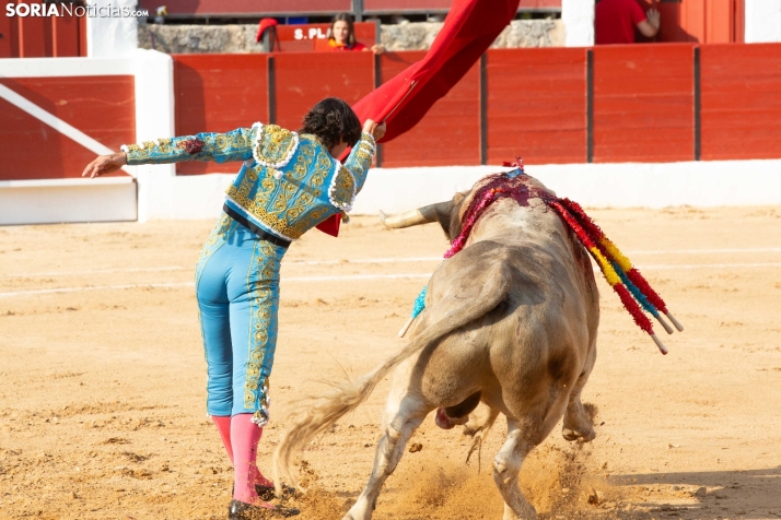 Toros en El Burgo 2025