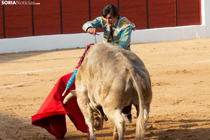 Toros en El Burgo 2025