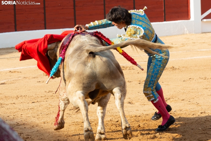 Toros en El Burgo 2025