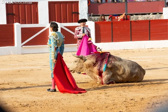 Toros en El Burgo 2025