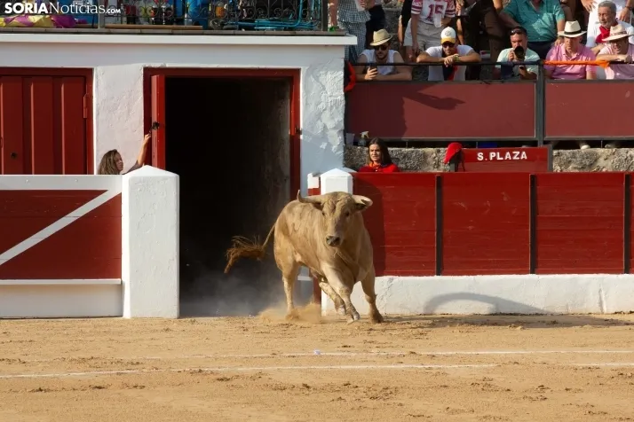 Toros en El Burgo 2025