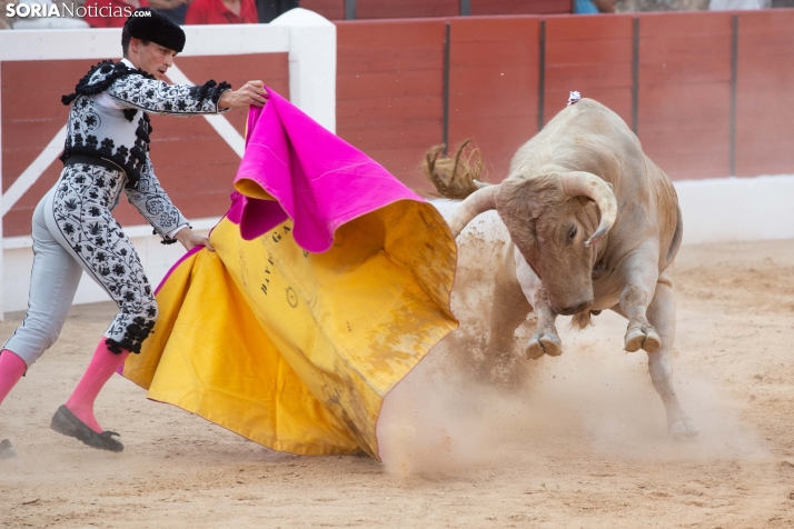 Toros en El Burgo 2025