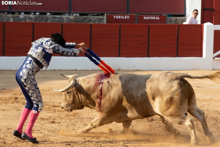 Toros en El Burgo 2025