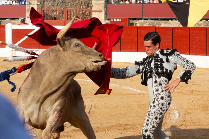 Toros en El Burgo 2025